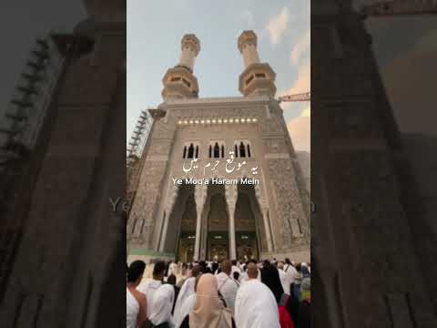 Pakad kar Ghilaaf Aur Ro Ro Ke Kehna ❣️✨🌹.#naatshareef #hajj #naatstatus#muslimcontent #viralshorts