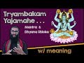 Maha Mrityunjaya Mantra& Dhyana Shloka w/meaning