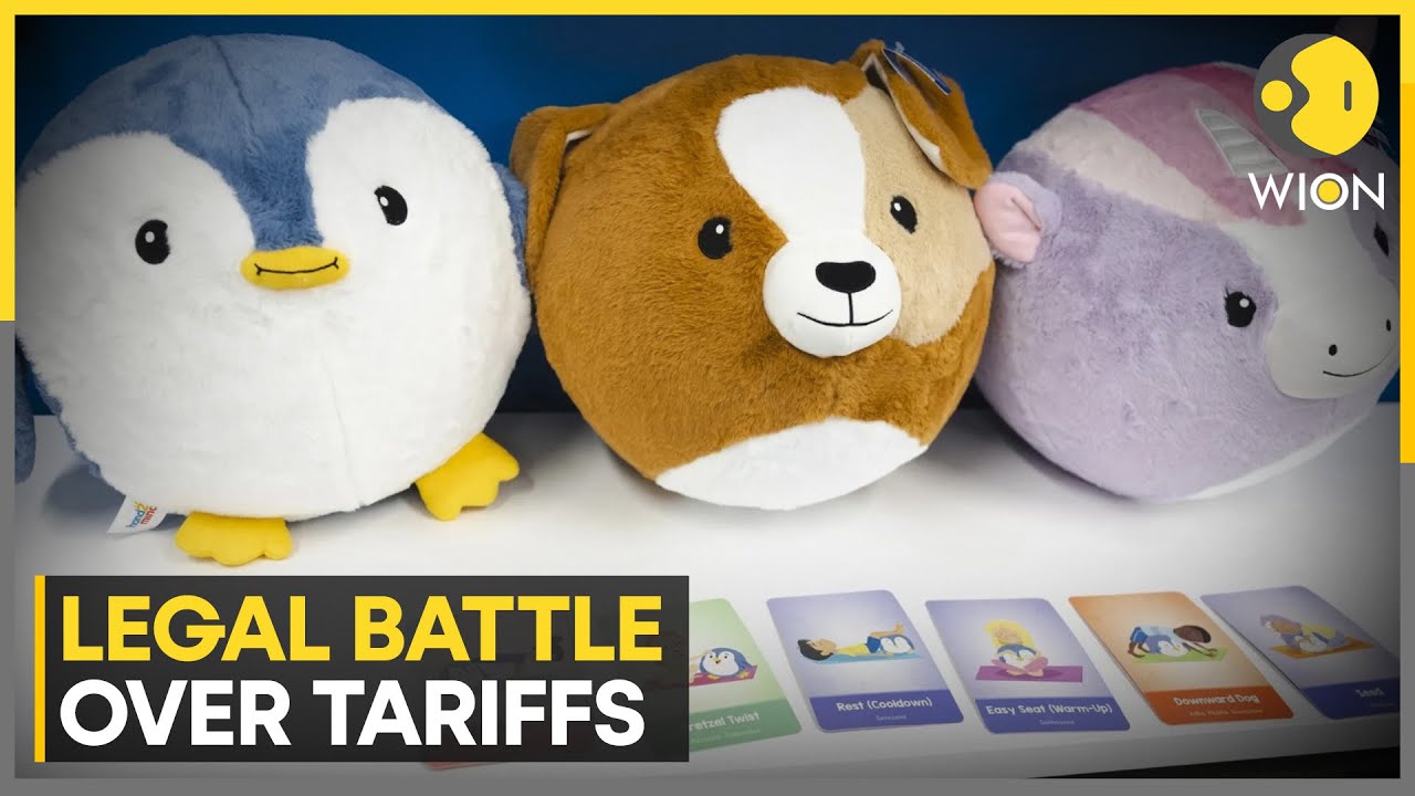 Trump Tariffs Spark Legal Battle With Small Toy Company | WION