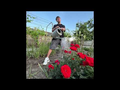 (FREE) CATAU "JOHNNY TEST" Type Beat 2025