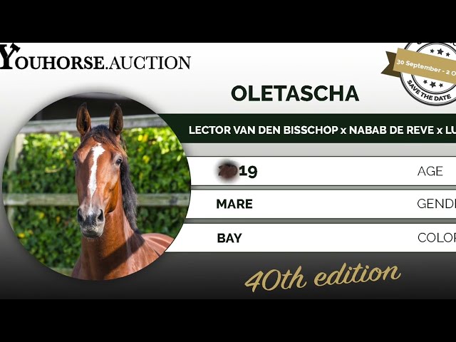 Oletascha