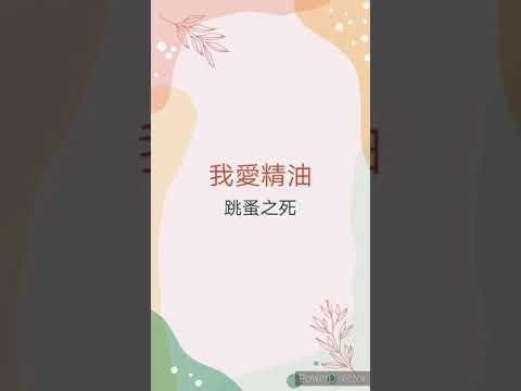 跳蚤 精油
