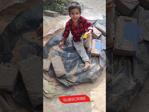 লায়নের বালি নিয়ে খেলা #viral #shortvideos #play#sand