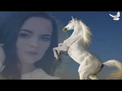 Oprosti mi što mislim na tebe