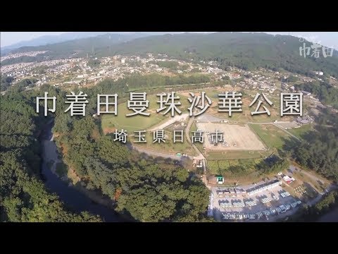 巾着田曼珠沙華公園