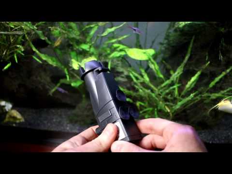 Watch Video on YouTube