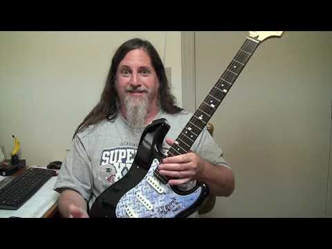 Japanese Koto Guitar -- Genius Or Totally Crazy??