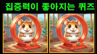 [다른그림찾기] 집중력 좋아지는 퀴즈  틀린그림찾기  치매예방 퀴즈 치매테스트 두뇌운동 spot the difference #findthedifference