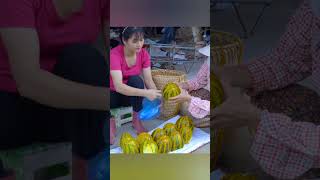 Download lagu Harvest giant watermelon Go to Market Sell | Lucia bushcraft #harvest #bushcraft #watermelon mp3 Download lagu Harvest giant watermelon Go to Market Sell | Lucia bushcraft #harvest #bushcraft #watermelon mp3