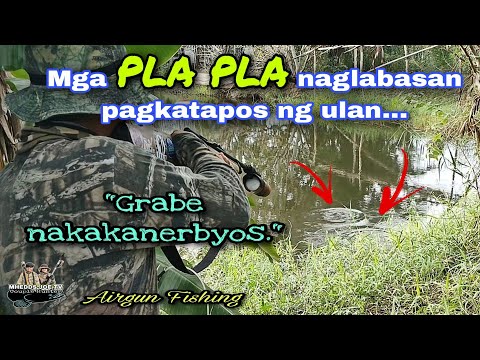 MGA PLAPLA NAGLABASAN SA DAMUHAN PAGTAPOS NG ULAN/AIRGUN FISH HUNTING/MHEDDS JOE TV/VLOG#262
