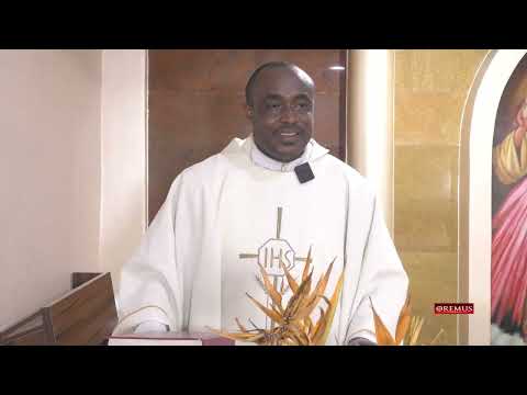 SATURDAY, 31ST WEEK, ORDINARY TIME. #Oremus #CatholicMass #DailyMass #CatholicMassToday #eucharist 