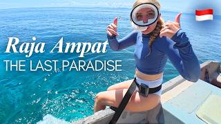 Download lagu Raja Ampat’s Underwater World – Turtles & Coral Reefs at Kri & Mansuar Island  🇮🇩🪸🤿 mp3