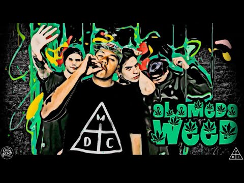 Costa Gold - Alameda Weed (Part. WENTZ)