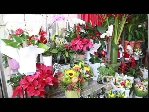 Alberts Flowers a Florist or Flower Shop in Brisbane offering Flower Arrangement or Flower Delivery