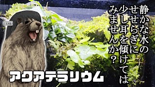 【アクアリウム】松嘩りうむ。。