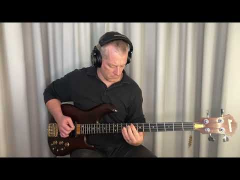 WALDEMAR MATUSKA - Když jdou na mužskýho léta - Bass cover