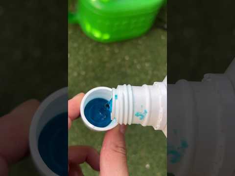 観葉植物用の天然肥料を作るにはどうすればよいですか？ベスト 5 のアイデア  庭園