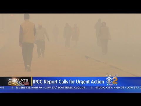 U.N. Report Warns Of Climate Change's Dire Consequences
