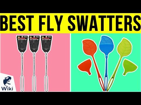 10 Best Fly Swatters 2019