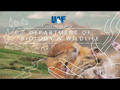 Department of Biology and Wildlife