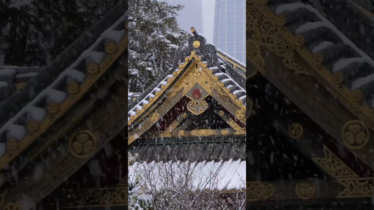 Редчайшее явление - снегопад в Токио