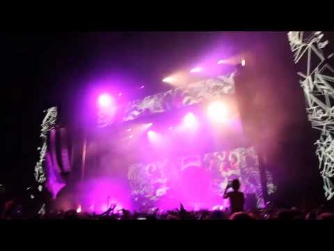Skrillex electric Zoo 2012 nyc