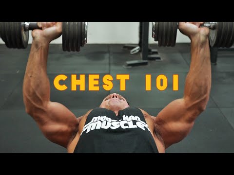 Chest 101: The Fundamentals of Chest Training
