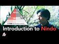 Introduction to Nindo