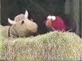 Classic Sesame Street Gladys The Cow Vs Elmo
