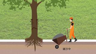 [問卦] 哪時候政府才會意識到種行道樹是在殺人