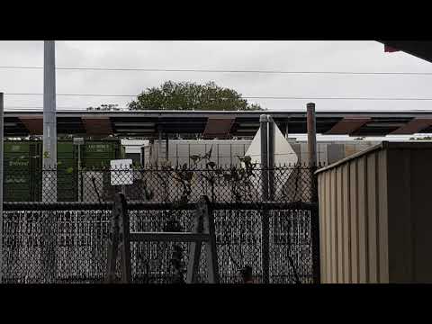 Aurizon Intermodal roaring past