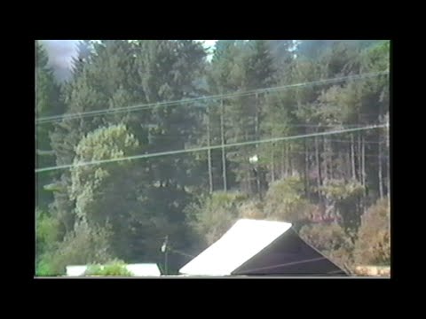 891. OP&E # 19 STEAM TRAIN in trees on the Oregon Pacific & Eastern Cottage Grove Oregon on August