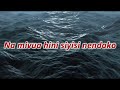 Dil Ke Armaan Aansuo Mein Beh Gaye Cover Swahili Version Brother Nassir RABI NIAUNI