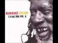 Burning Spear Rock Dub  Living Dub 6.wmv