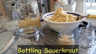 Bottling Homemade Sauerkraut from Fermenting Jar
