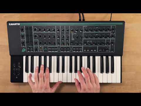 PWM Mantis Sound Demo (no talking)