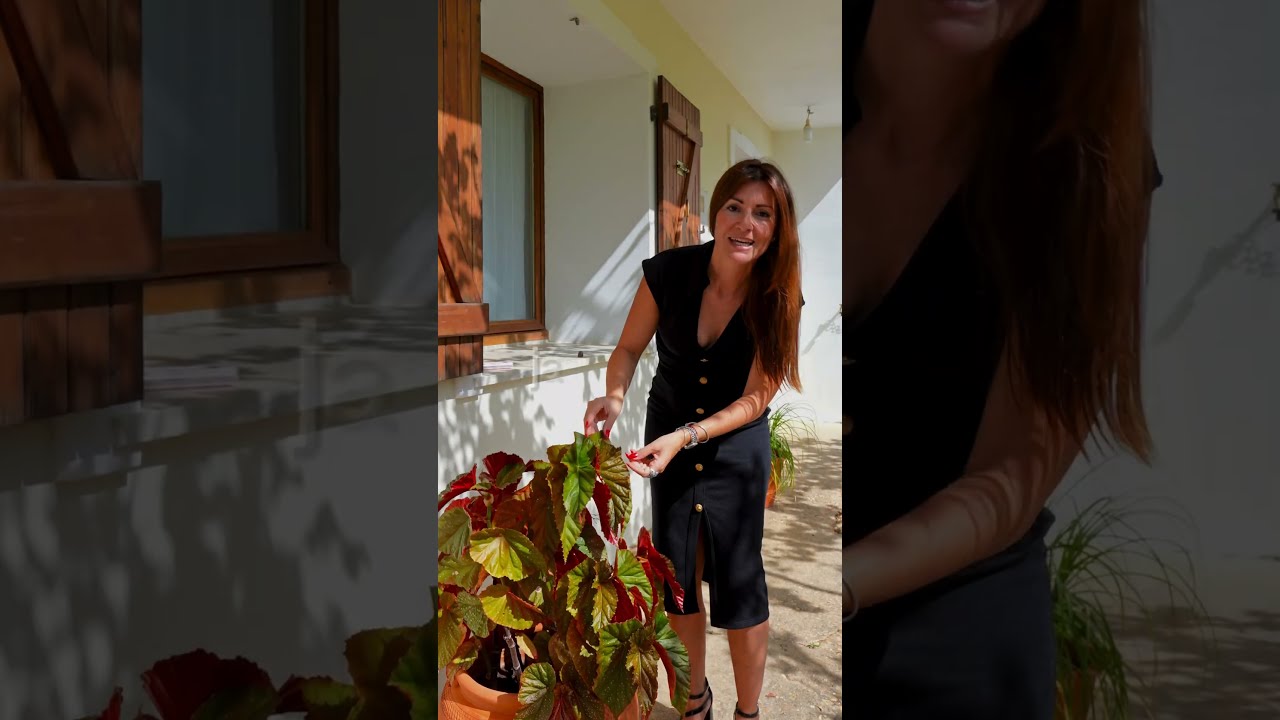 Vídeo do imóvel