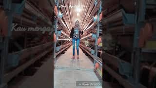 Download lagu #viral #storywa #statuswa kepastian rasa ZBI CREW mp3