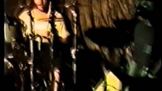 ALL Full Live Set Rome April 9, 1994 Chad Price Descendents