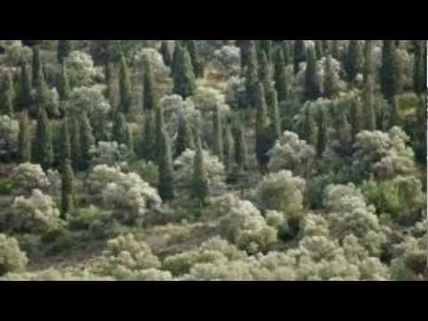 "Beaulieu" von Clara Müller-Jahnke, vom Wortmann rezitiert