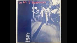 The Mr. T Experience - "Sex Offender"