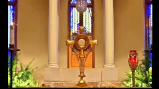 Theandric - Face to Face/Tantum Ergo (Tori Harris Cover)