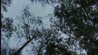 miller's crossing music