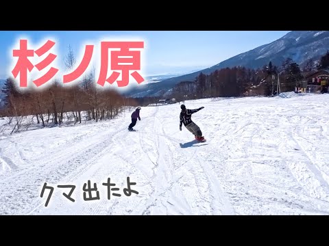 【妙高】杉ノ原スキー場！上から下まで8.5km滑ってみたよ！
