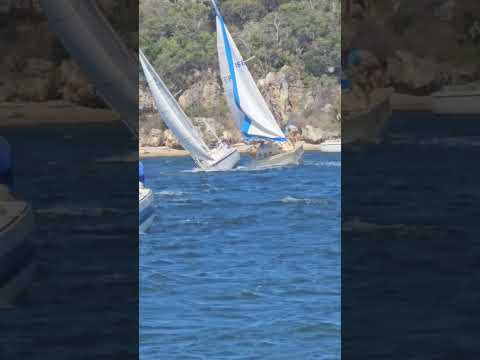 Reckless maneuver! #sailing #sailingcommunity
