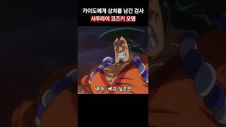 🔥역대급 작화🔥카이도에게 상처를 남긴 유일검사 코즈키 오뎅