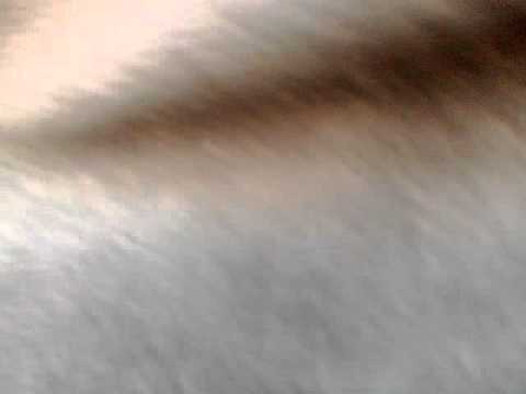 DJ FRESH feat. Cecile (maybe)