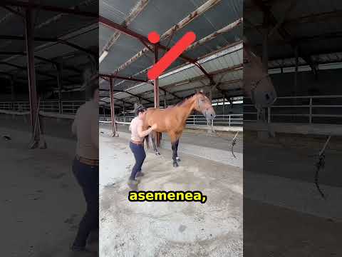 Tu cum ai proceda ?