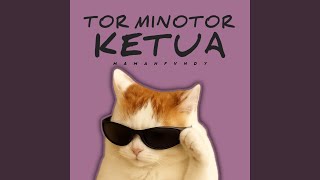Download lagu Tor Monitor Ketua mp3