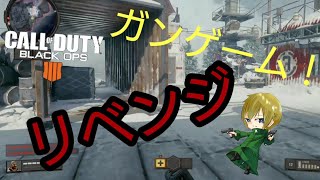 海外サーバーサーバーに乱入！？ガンゲームリベンジ！